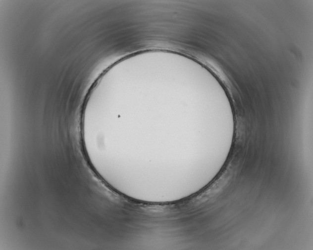 X0000113171048200910021518