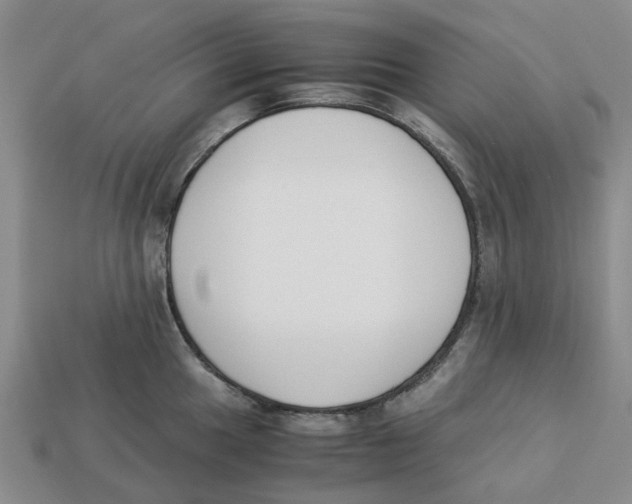 X0000113171049200910021518