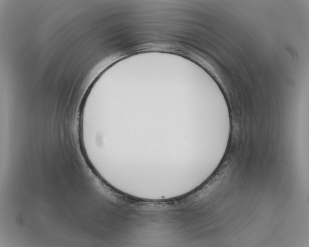 X0000113171050200910021518