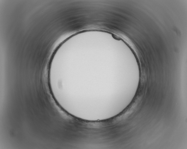 X0000113171053200910021518