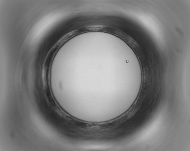 X0000113171054200910021518