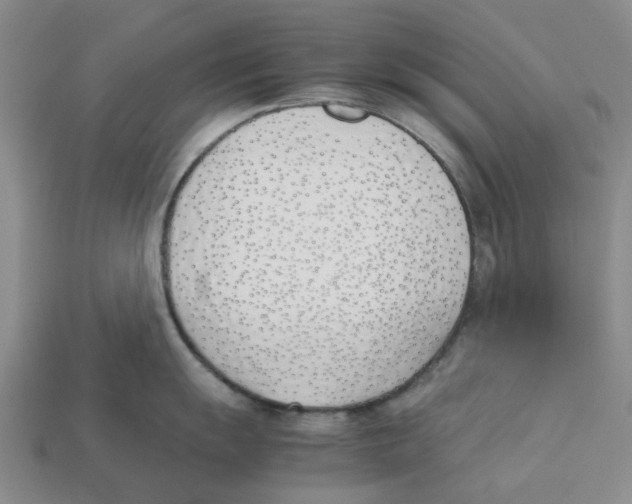 X0000113171055200910021518