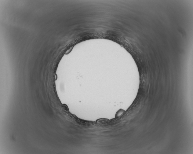 X0000113171057200910021518