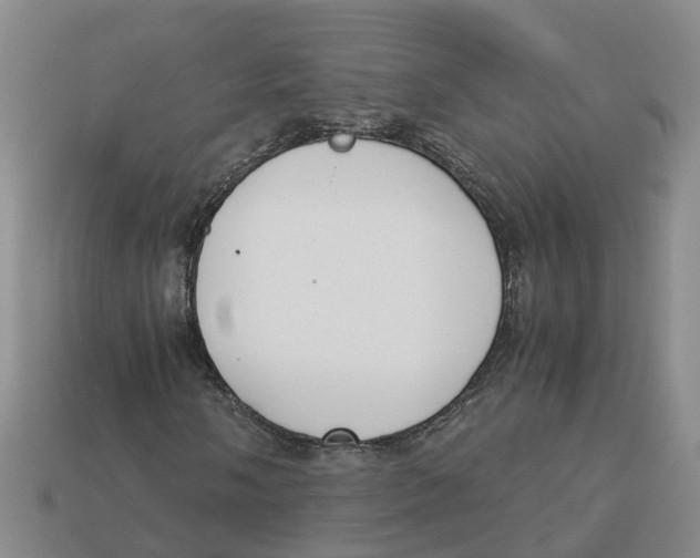X0000113171058200910021518