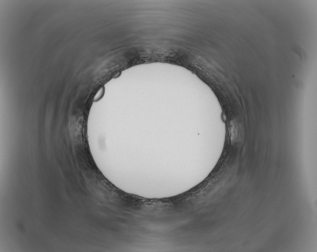 X0000113171059200910021518