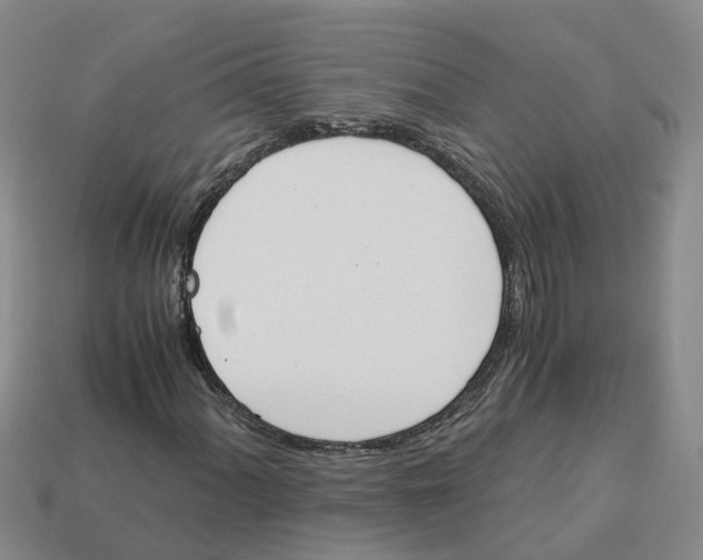 X0000113171060200910021517