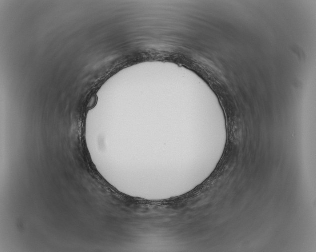 X0000113171061200910021517