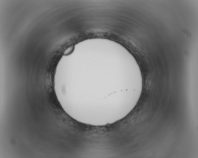 X0000113171062200910021517