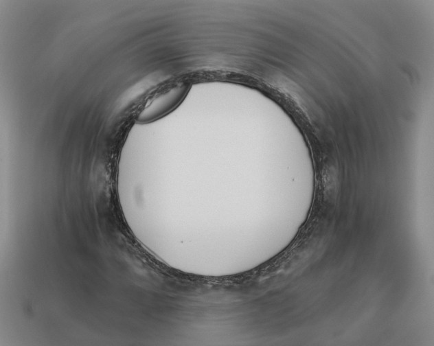X0000113171064200910021517