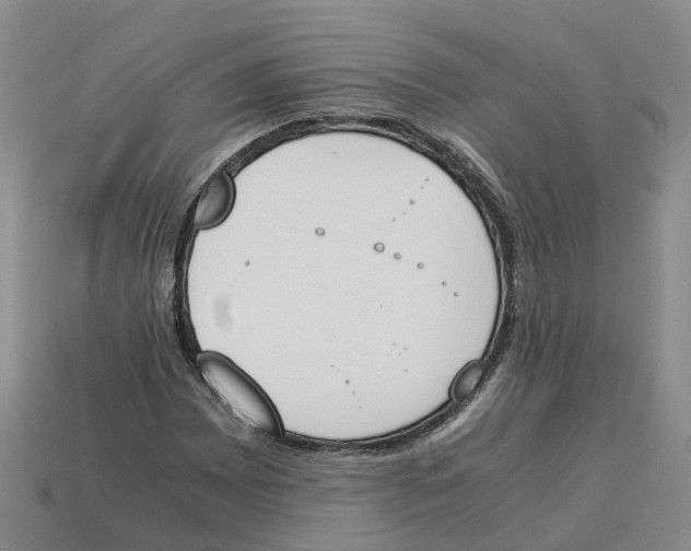 X0000113171065200910021517
