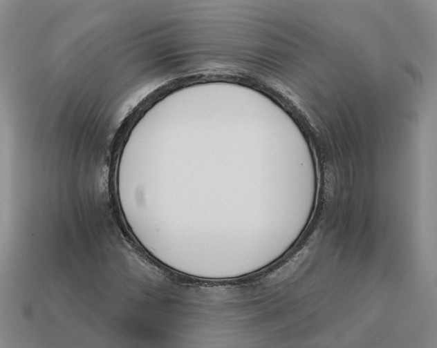 X0000113171066200910021517