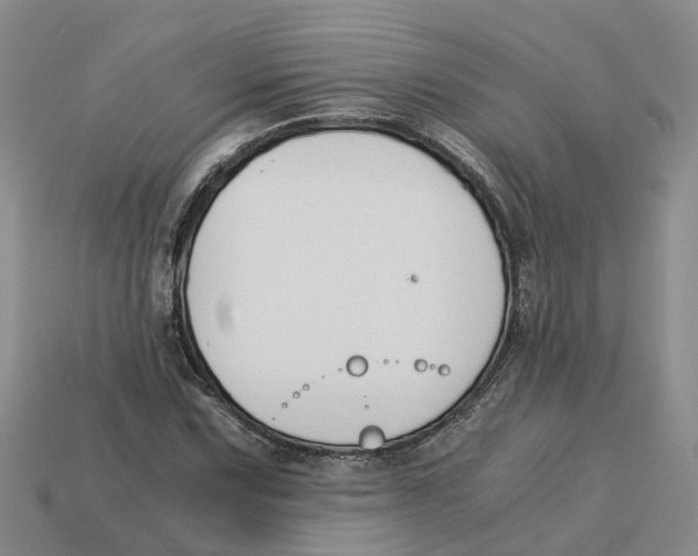 X0000113171067200910021517