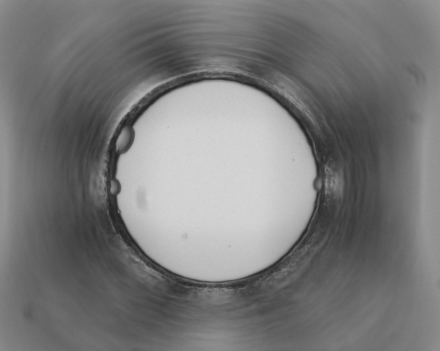 X0000113171068200910021517