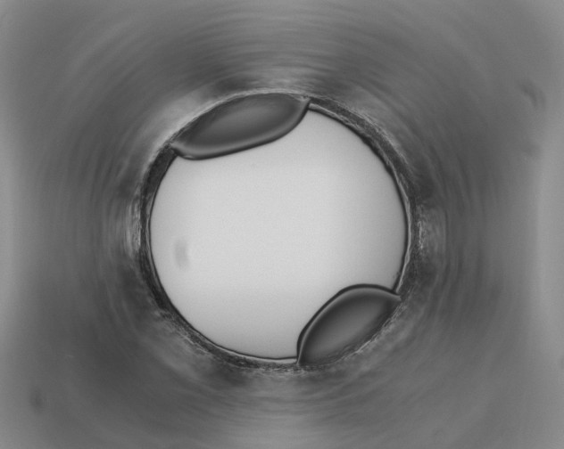 X0000113171069200910021517