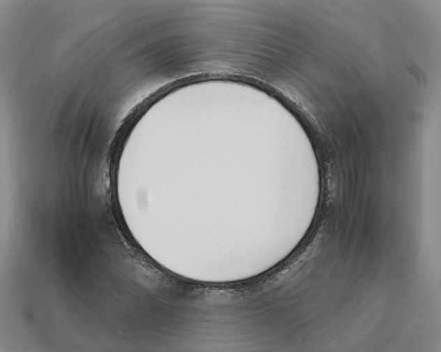 X0000113171070200910021517