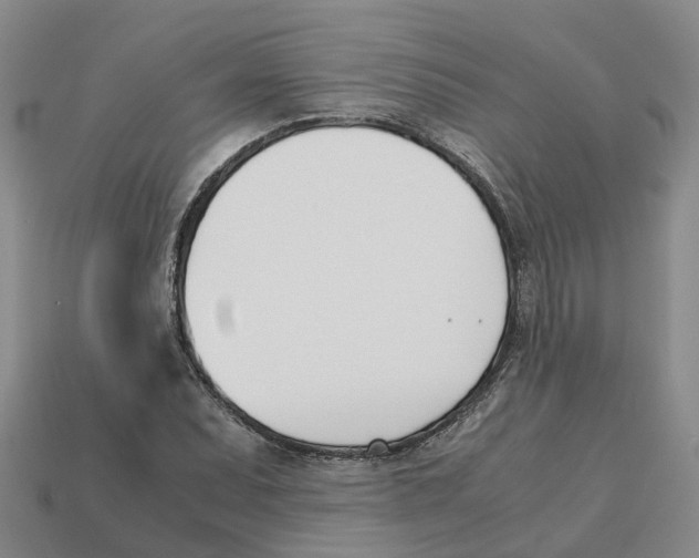 X0000113171071200910021517