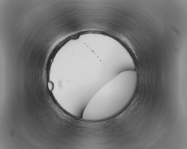 X0000113171072200910021517