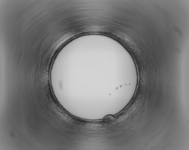 X0000113171073200910021517
