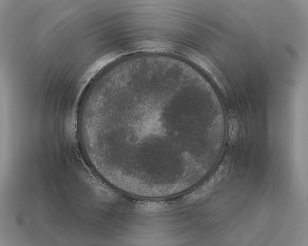 X0000113171074200910021517