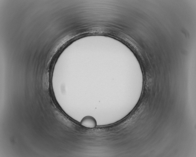 X0000113171075200910021517