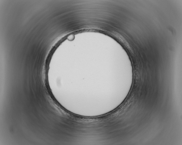 X0000113171076200910021517