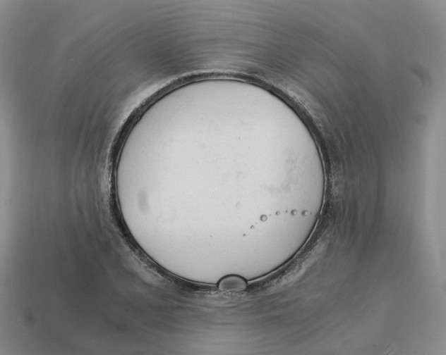 X0000113171077200910021517