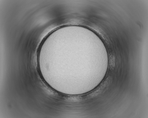 X0000113171078200910021517