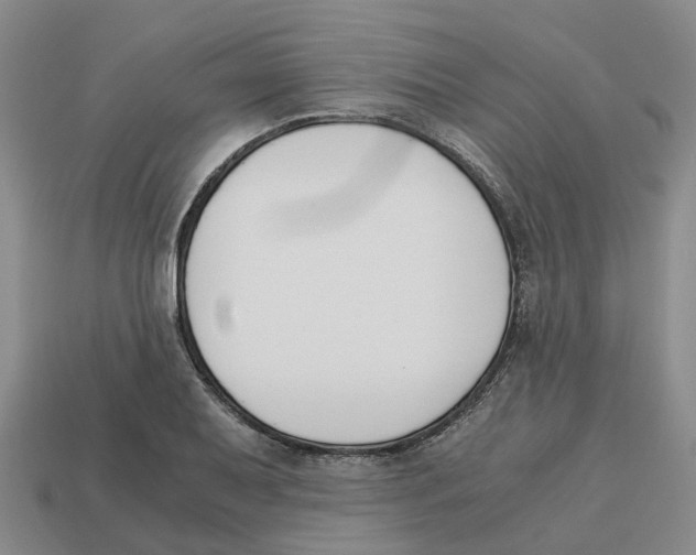 X0000113171079200910021517