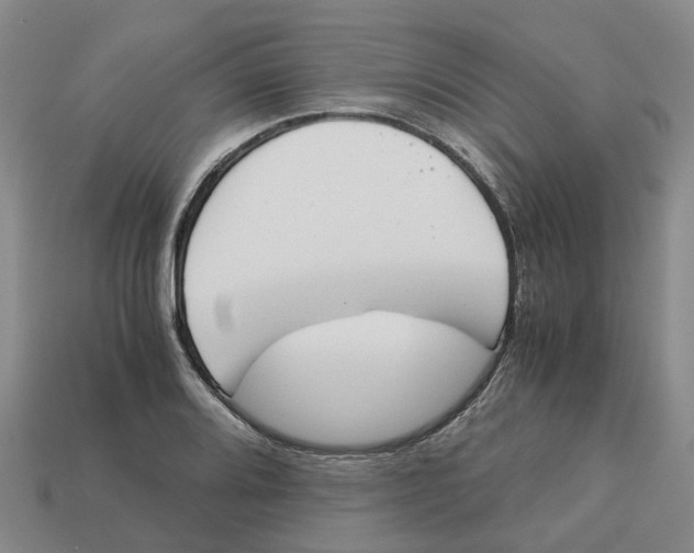 X0000113171080200910021517