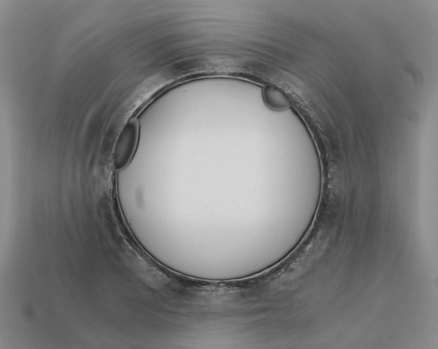 X0000113171081200910021517