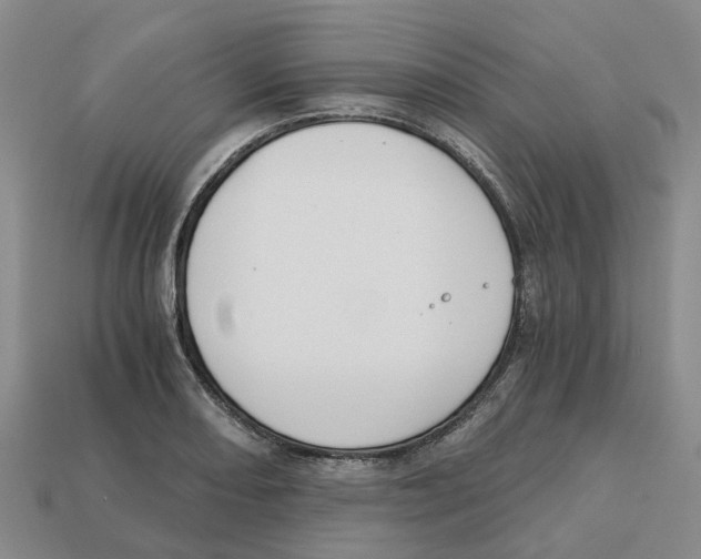X0000113171082200910021517