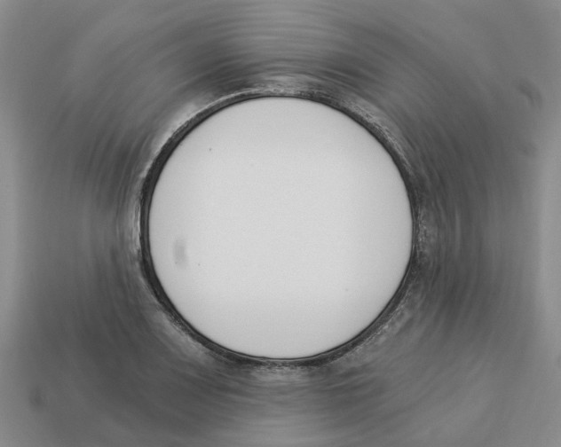 X0000113171083200910021517