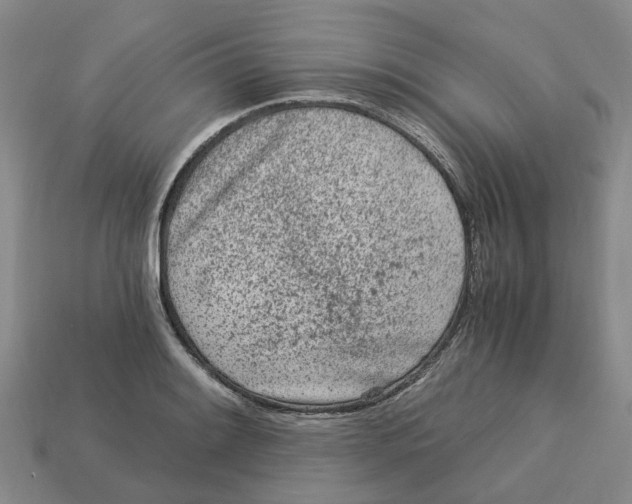 X0000113171084200910021517