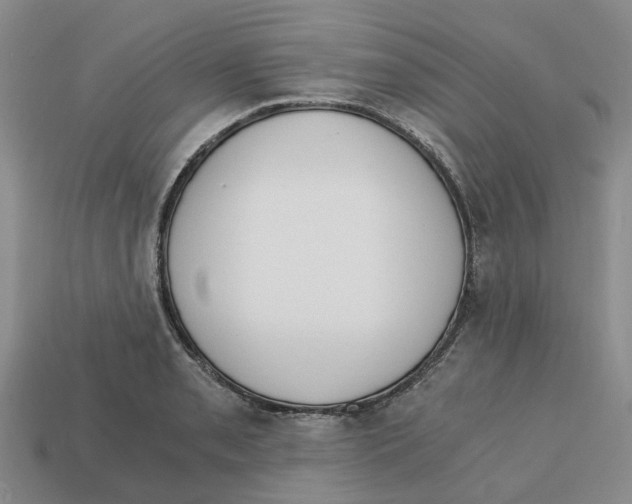 X0000113171085200910021517