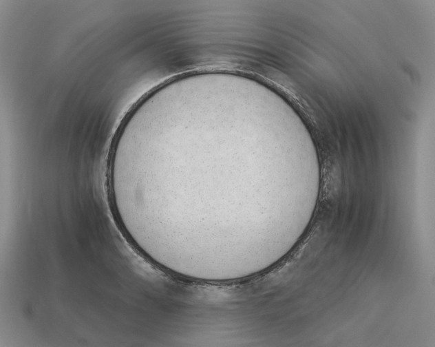 X0000113171086200910021517