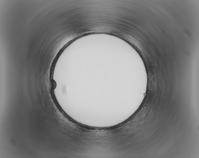 X0000113171087200910021517