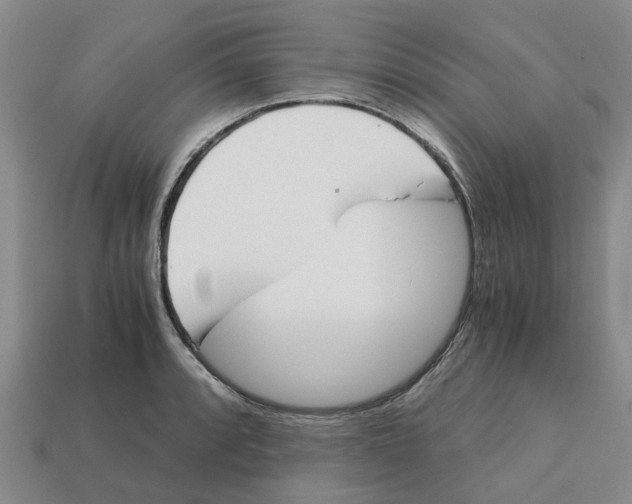 X0000113171088200910021517
