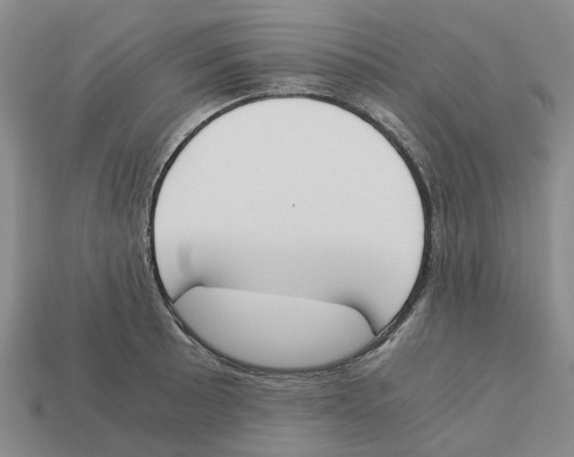 X0000113171089200910021517