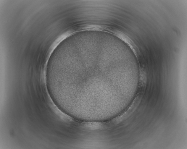 X0000113171090200910021517