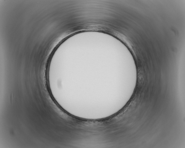 X0000113171091200910021517