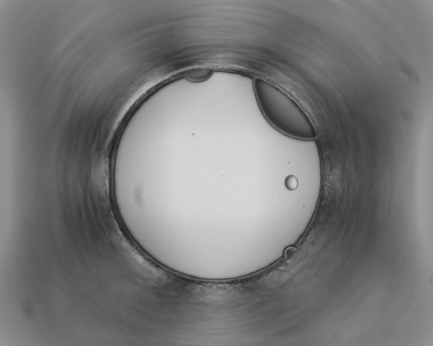 X0000113171092200910021517