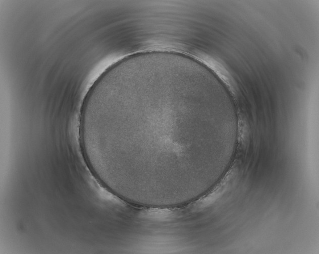 X0000113171094200910021517