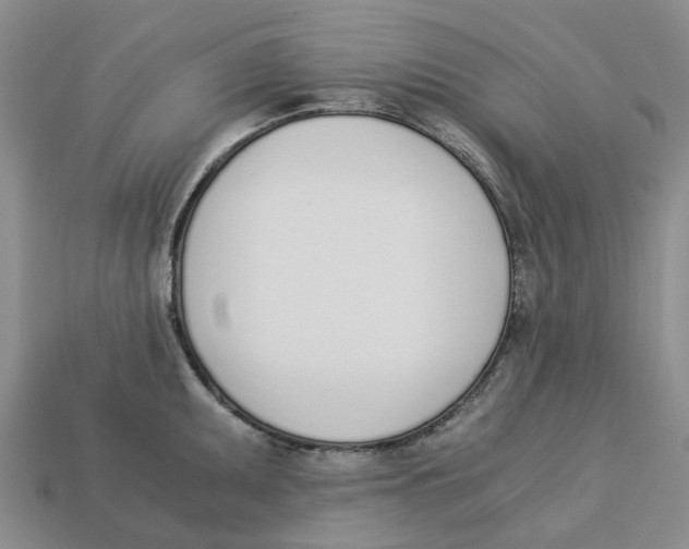 X0000113171095200910021517