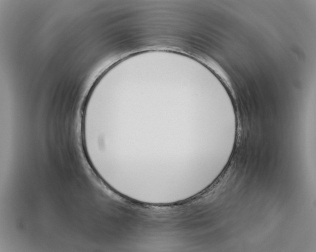 X0000113171096200910021517