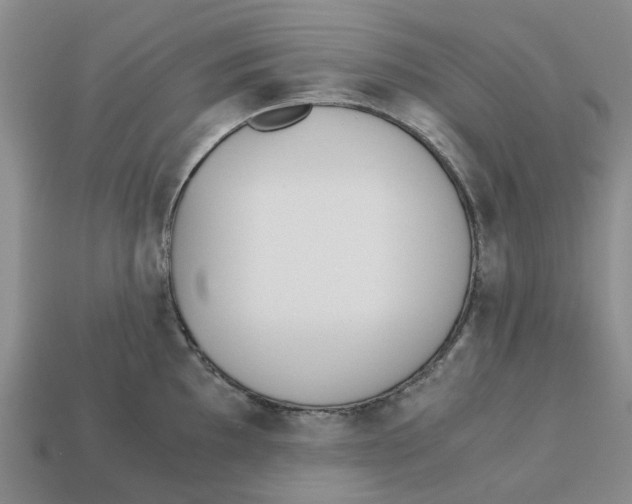X0000113171097200910021517