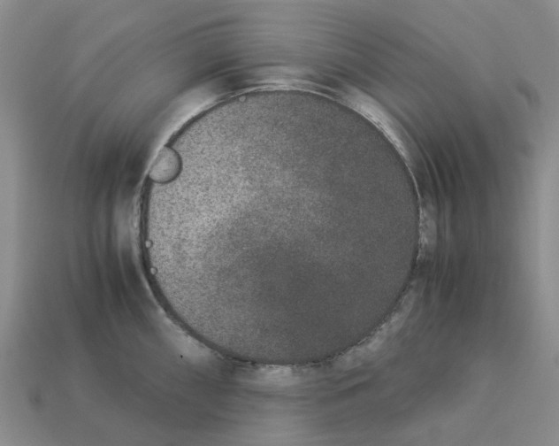 X0000113171098200910021517
