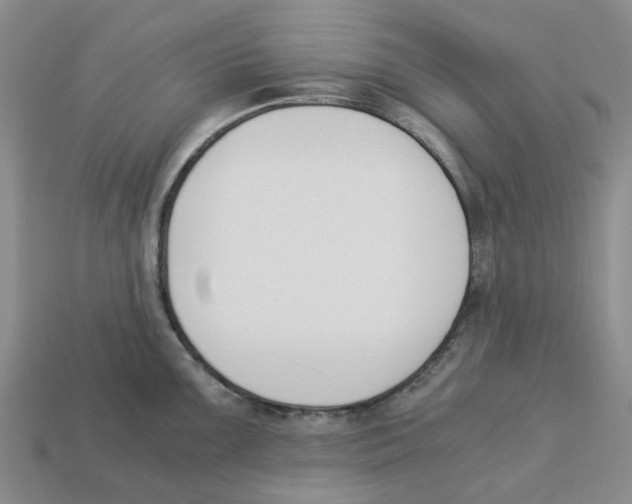 X0000113171099200910021517