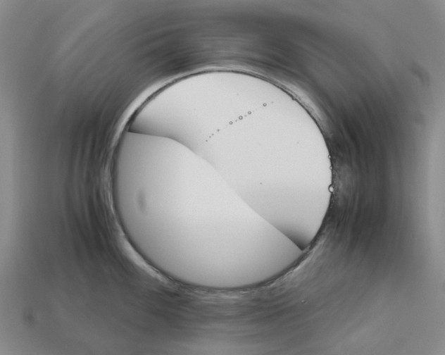 X0000113171100200910021517