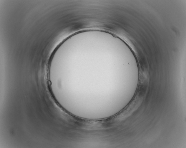 X0000113171101200910021517