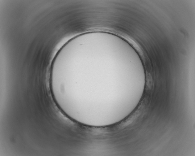 X0000113171102200910021517